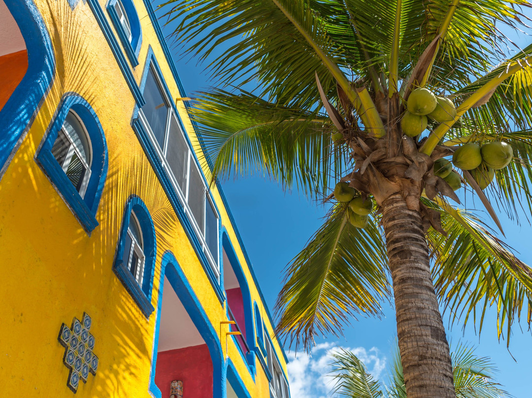 艾库玛尔酒店住宿-Del Sol Beachfront Properties