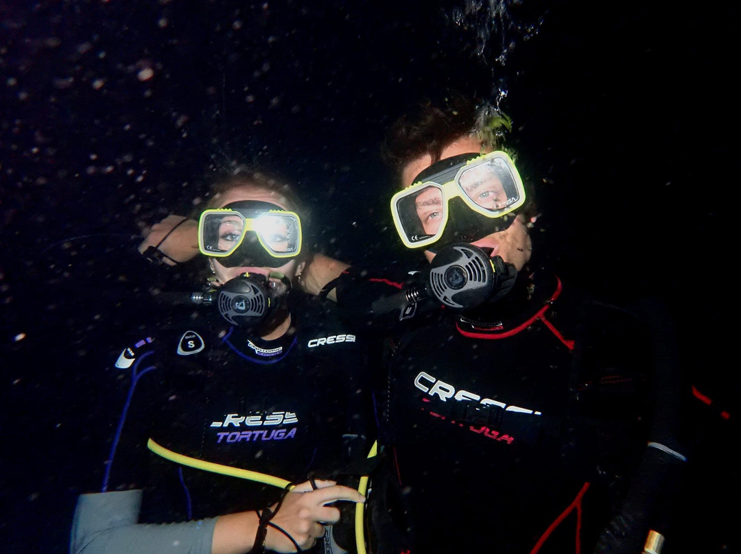 Trunkdivers-库拉索必去景点