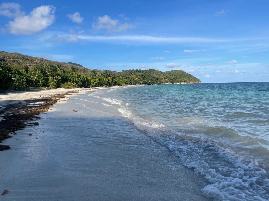 Playa Manzanillo景点图片