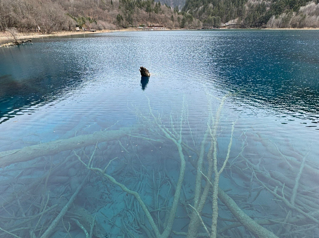 熊猫海景点图片