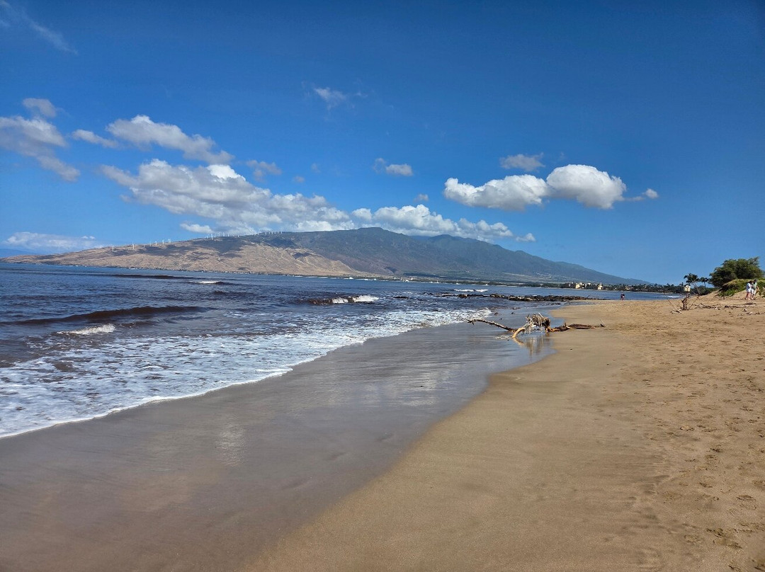 AC Hotel by Marriott Maui Wailea主图