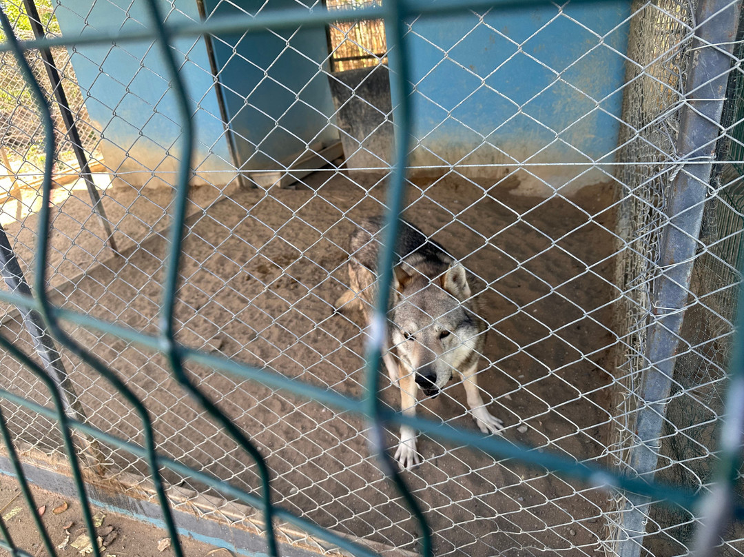 Berkem Aslan Diyari-Golbasi必去景点