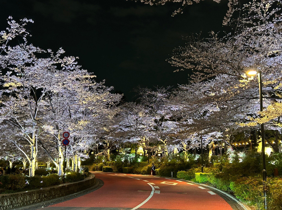 Tokyo Midtown Garden-Akasaka必去景点