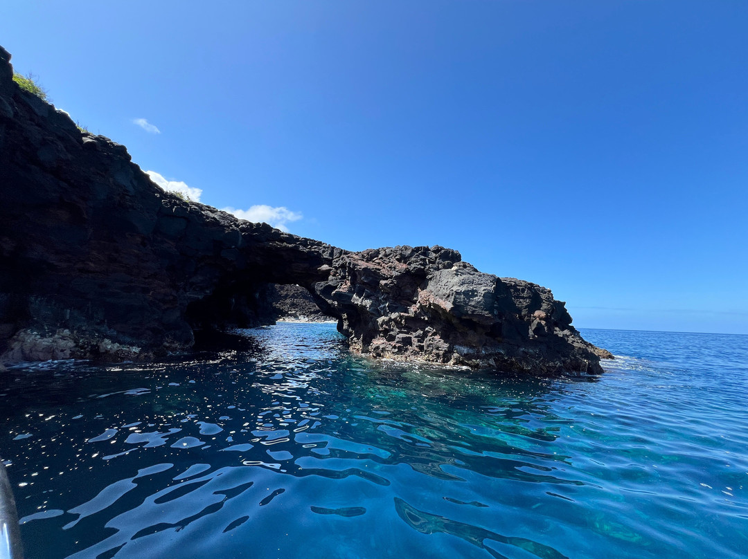 Kona Offshore Adventures-凯鲁瓦-柯纳必去景点