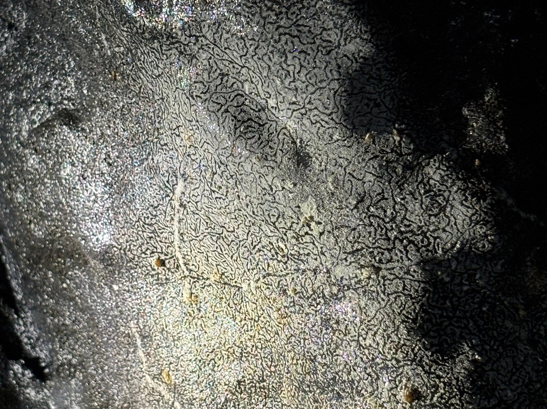 Kazumura Cave Tours-希洛必去景点