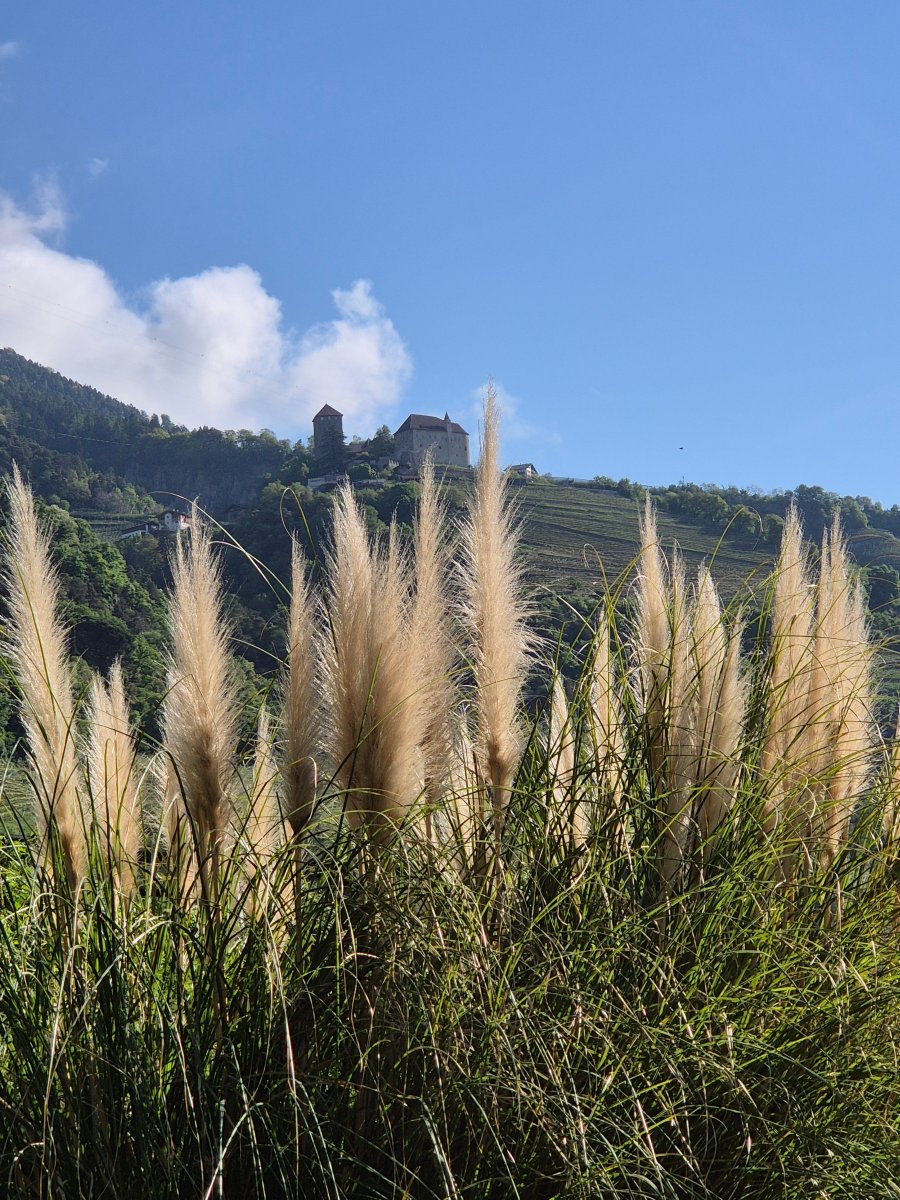 露斯特度假酒店-官方