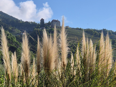 露斯特度假酒店主图