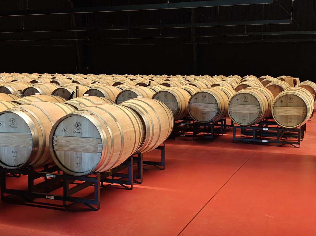 Caymus Vineyards-拉瑟福德必去景点