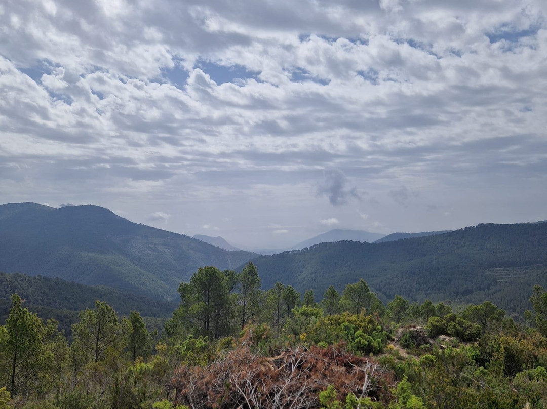 Finca Seguro Bodega S.L.主图