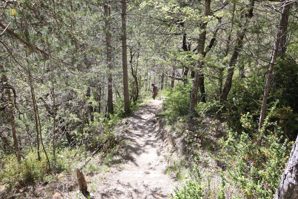 Marais Des Bouligons-Luc-en-Diois必去景点