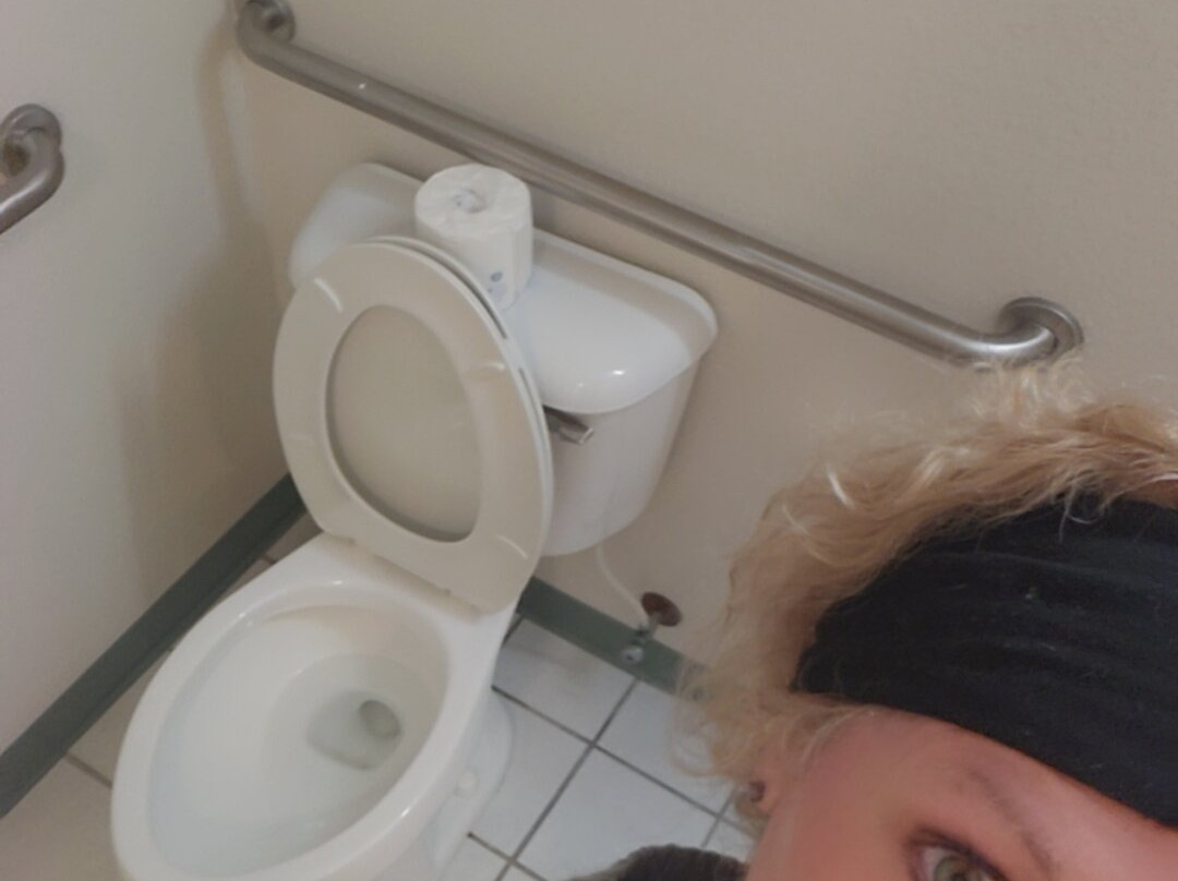 Wingate by Wyndham Schaumburg主图