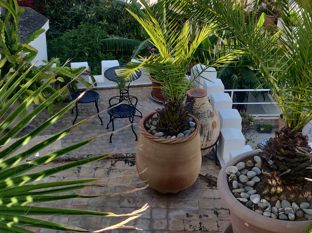 Riad Oasis D'Asilah主图