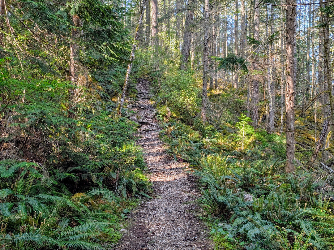 SloCat Harbour Tours-马德拉公园镇必去景点