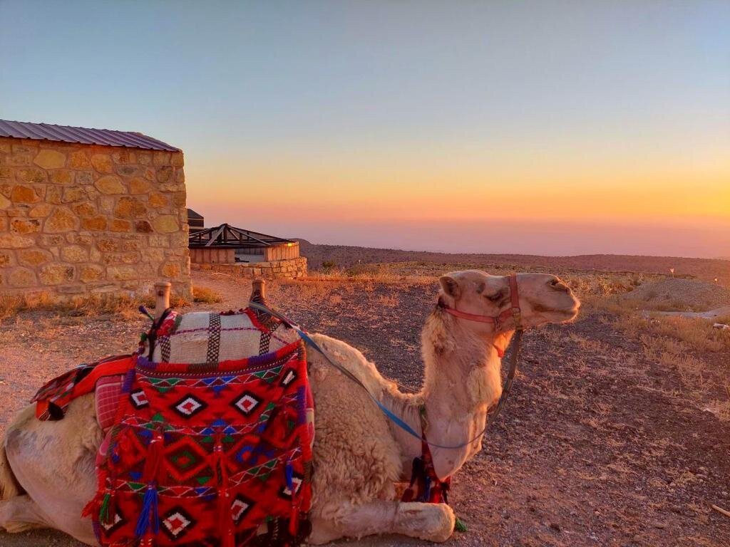 Ein Lahda Camp | Dana