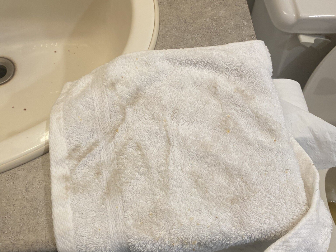 SureStay by Best Western Smithers主图