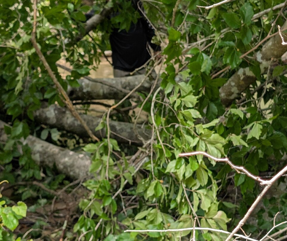 Clark Creek Natural Area-Woodville必去景点