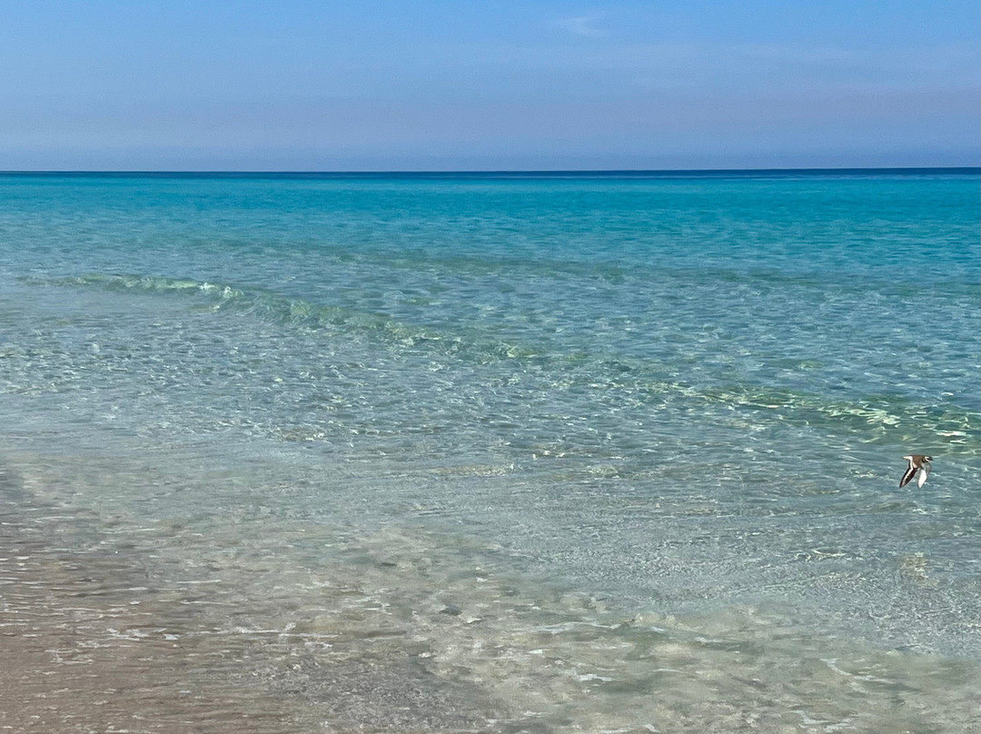 Cuba Travel Adventures Group-Tiburon必去景点