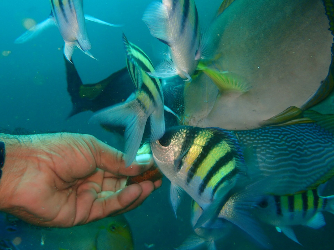 Ecologix Divers-Pasikuda必去景点