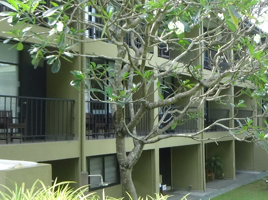 萨法瑞酒店主图