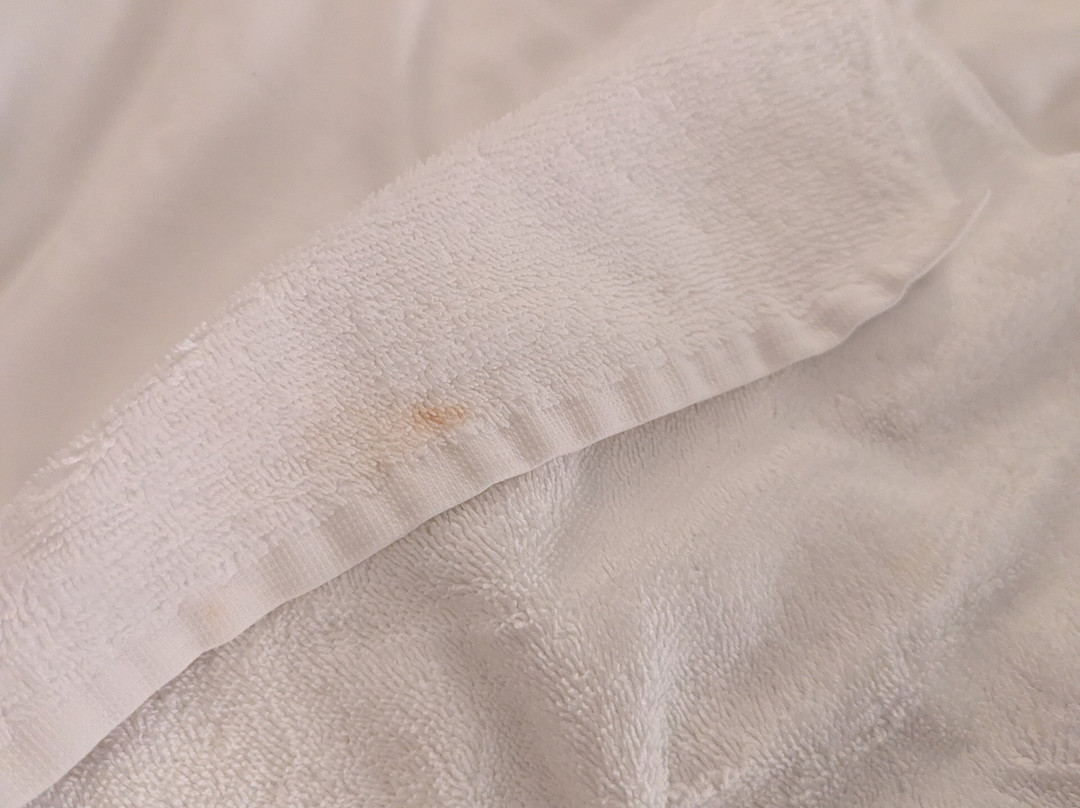 Hyatt Place Atlanta Airport - South主图