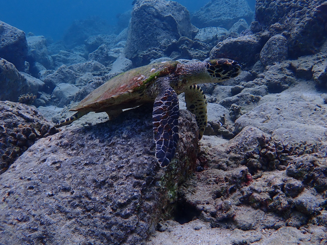 Freedive Weh-韦岛必去景点