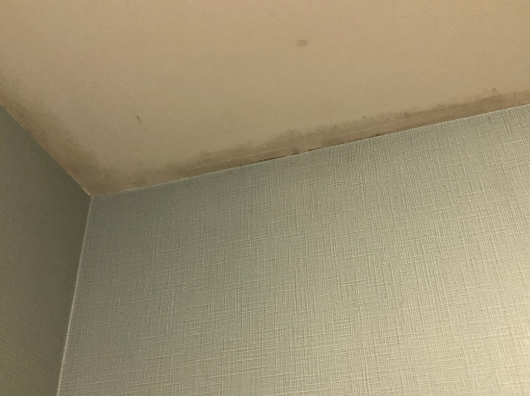 Holiday Inn Express & Suites Stroudsburg-poconos By IHG主图