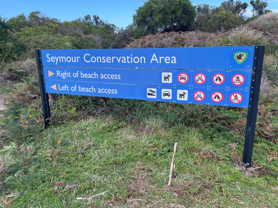 Seymour Beach-比奇诺必去景点
