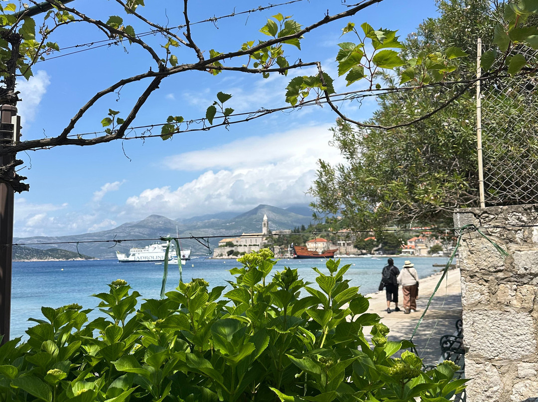 Azure Voyage Dubrovnik-Boat excursions景点图片