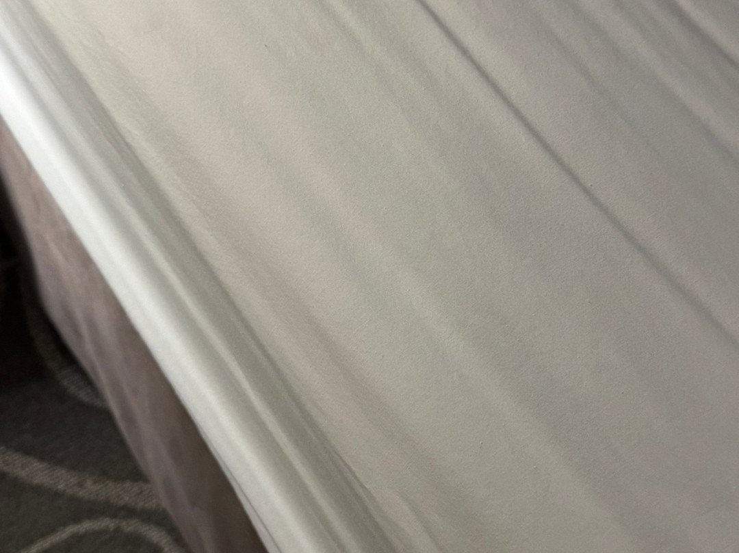 Super 8 by Wyndham Hillsboro TX主图