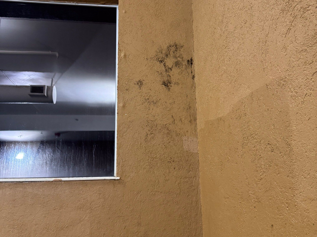 Best Western Plus Midwest Inn & Suites主图