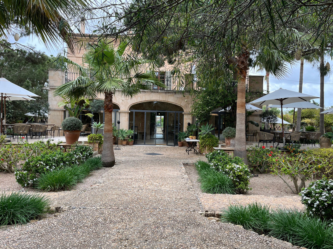 Cal Reiet Holistic Retreat主图
