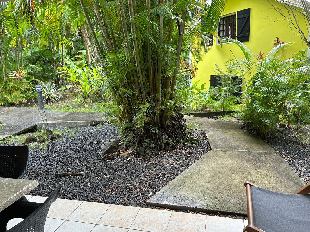 Caraïb' Bay Hotel主图