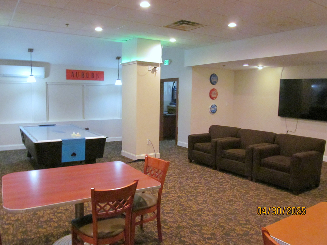 伯明翰机场假日酒店主图