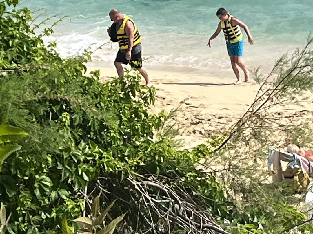 Kefalonia Watersports-Lassi必去景点