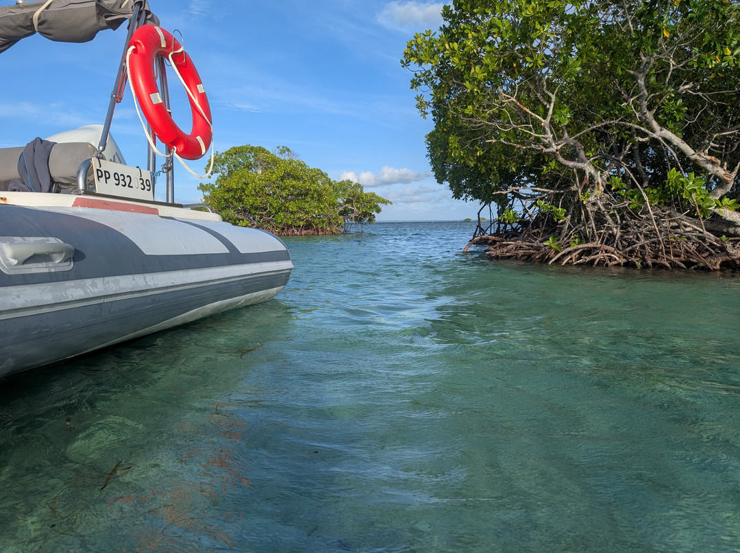 Nico Excursions-Sainte Rose必去景点