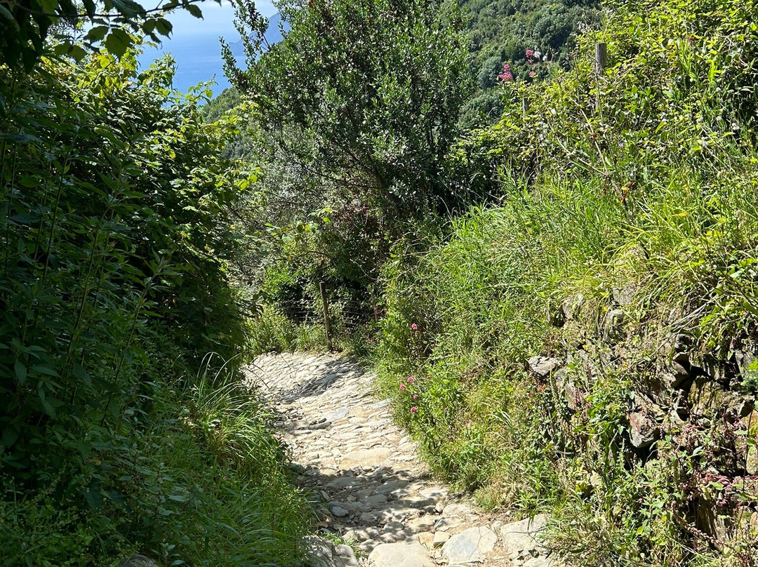 Path N. 6D-Corniglia必去景点