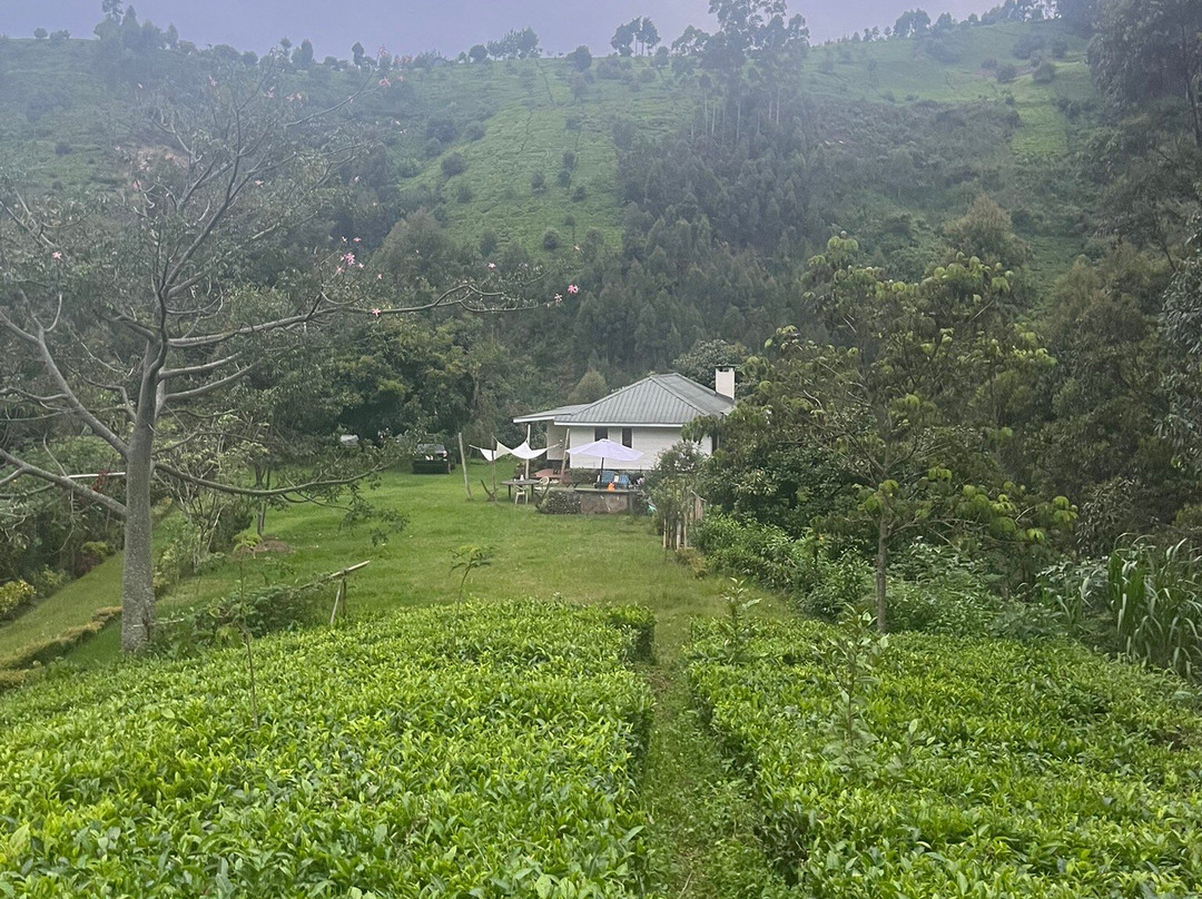 Kimakia Tea Cottages主图