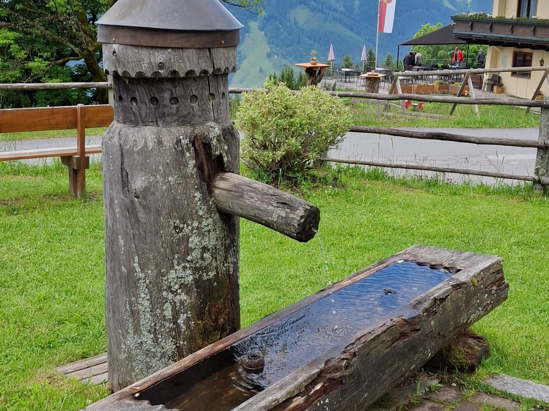 Mitterberghof Jausenstation主图