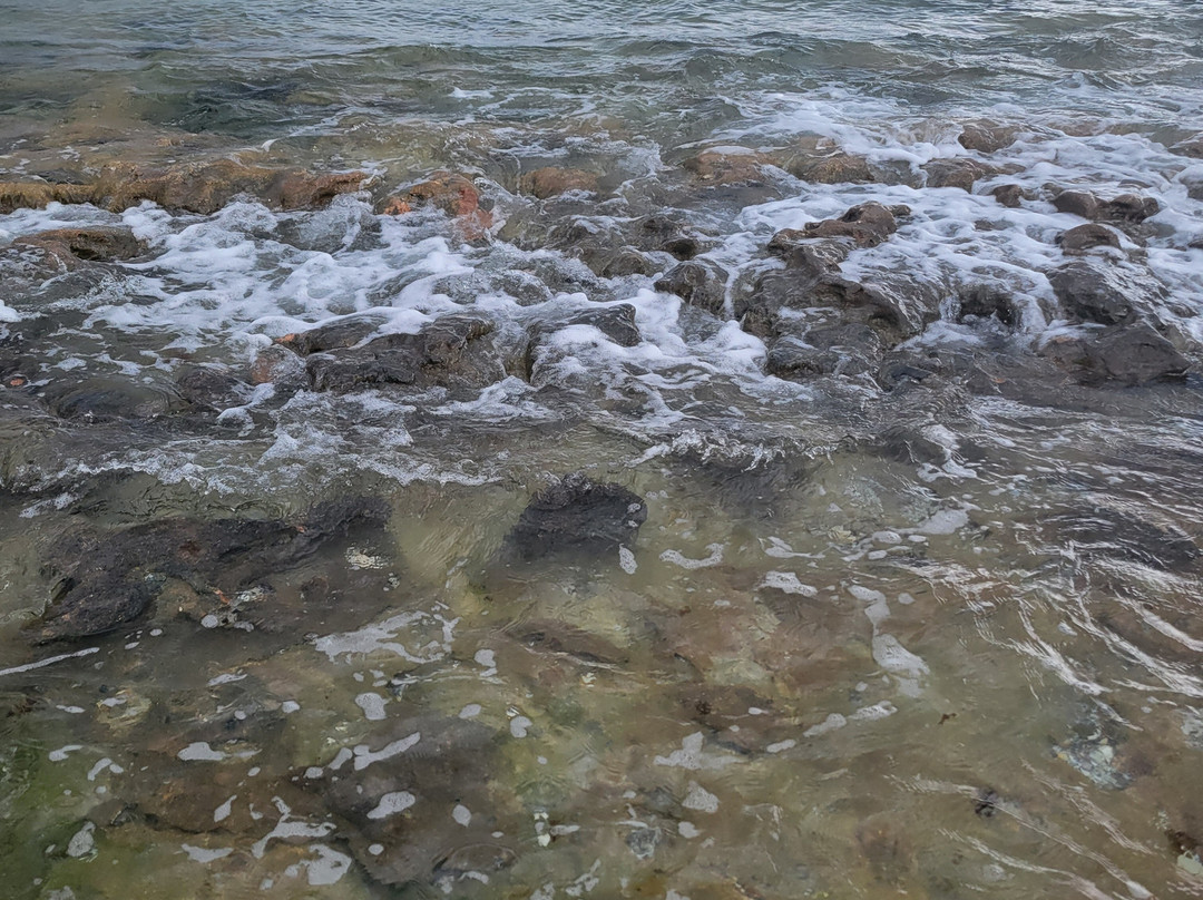 Coral Cove Park-Tequesta必去景点