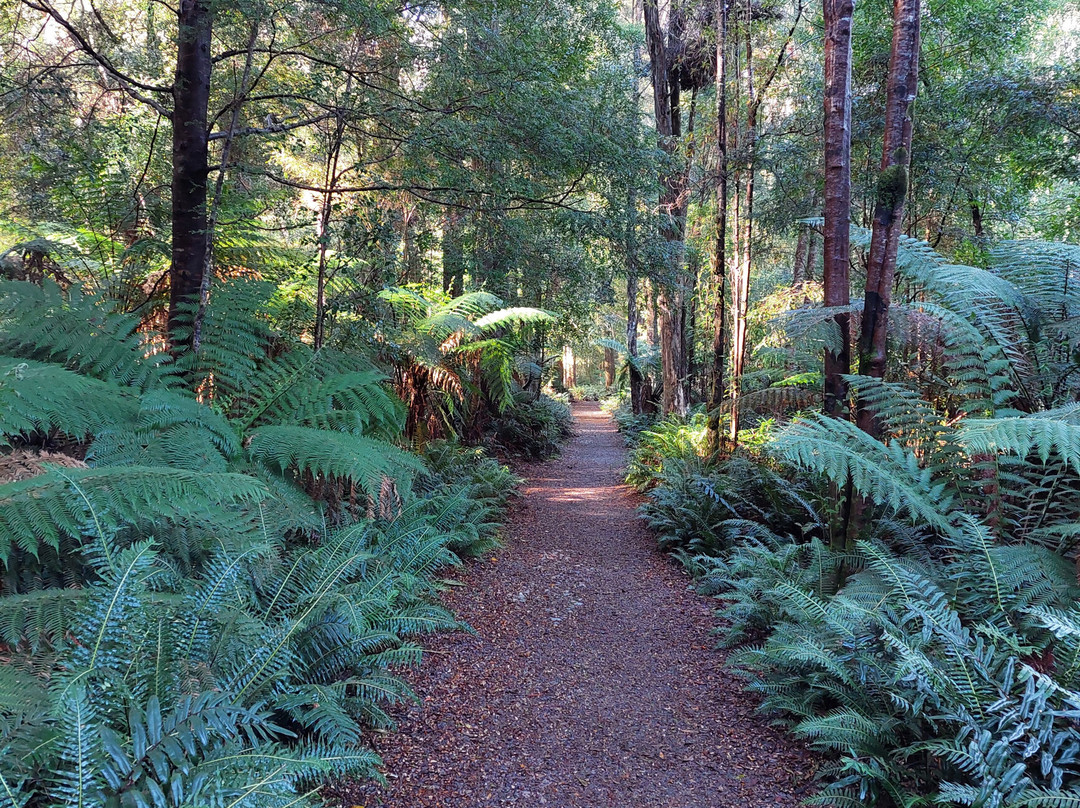 Hogarth Falls-斯特拉恩必去景点