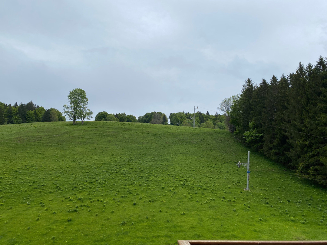 Hotel Le Trappeur主图