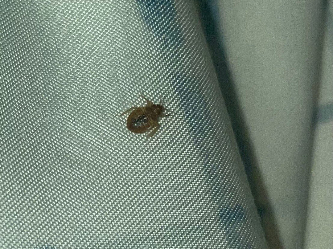 Beachside Boutique Inn主图