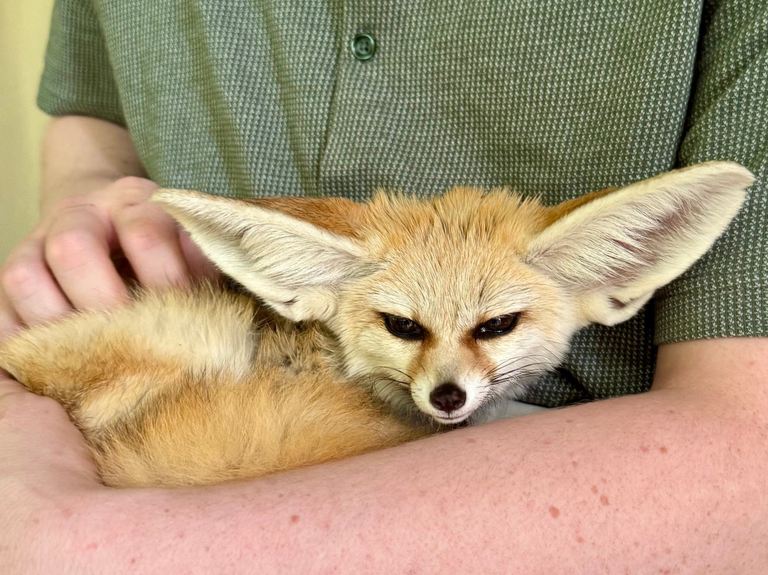 North Georgia Wildlife Park景点图片