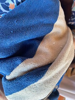 Tres Mujeres Boutique Hotel & Yoga Retreat主图