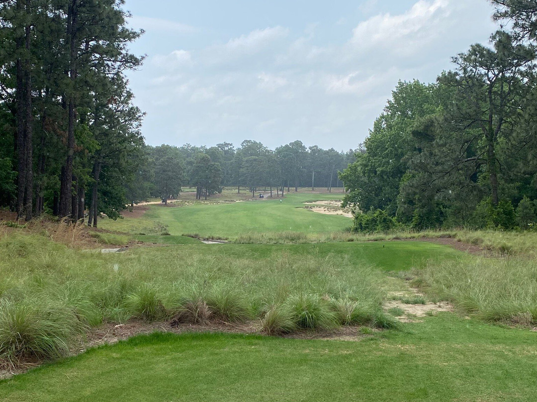 Pine Needles Golf Club-南派恩斯必去景点