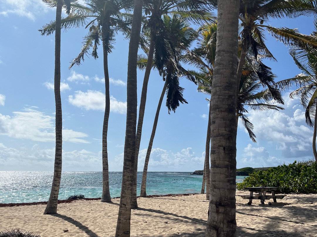 Sademar-Saint Francois必去景点