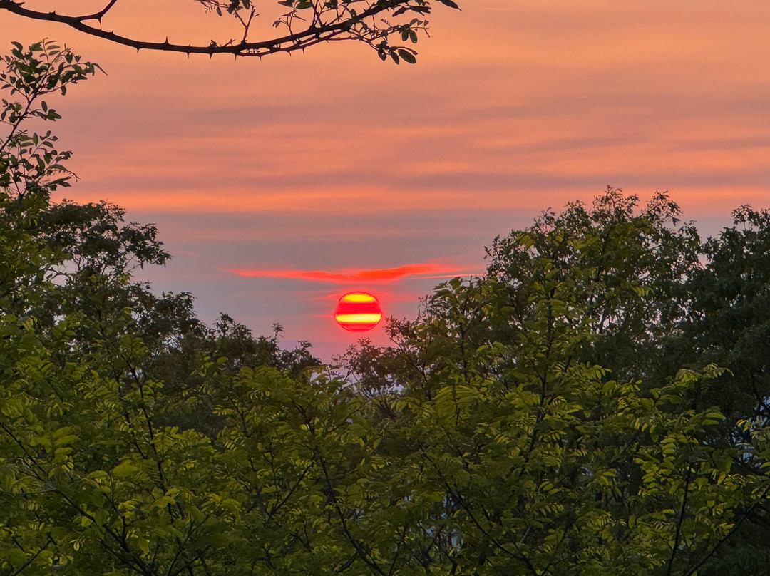 比格梅多斯旅馆主图