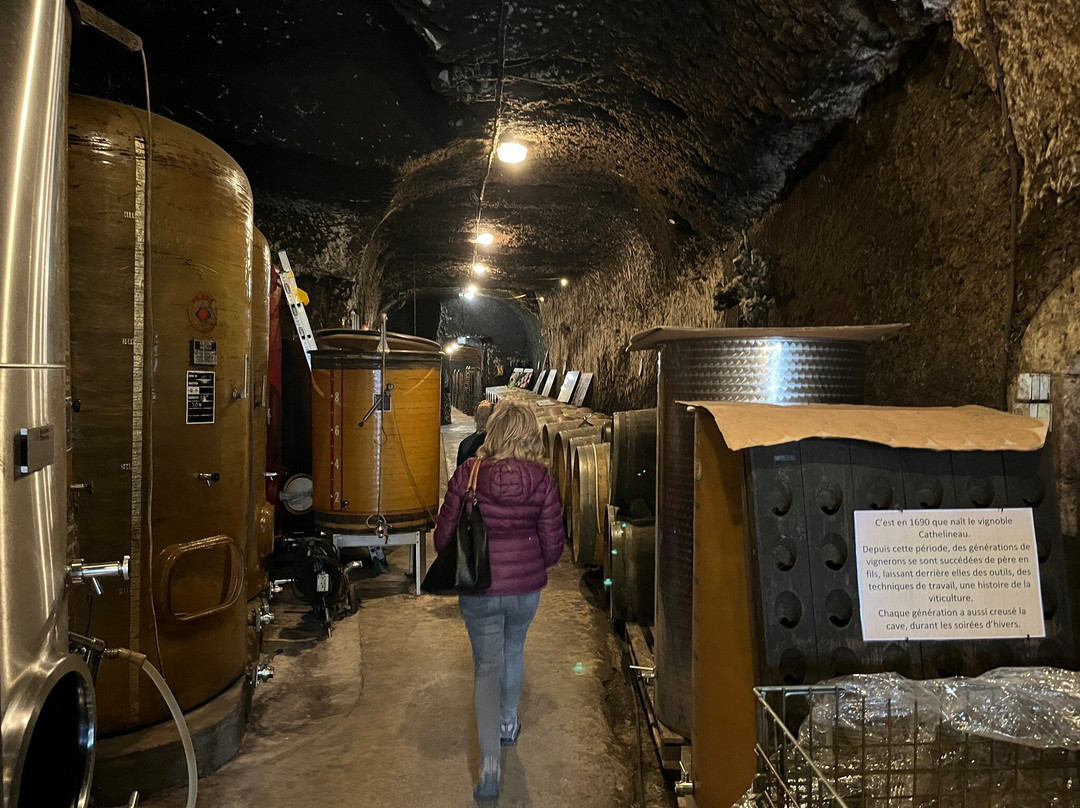 Caves Cathelineau景点图片