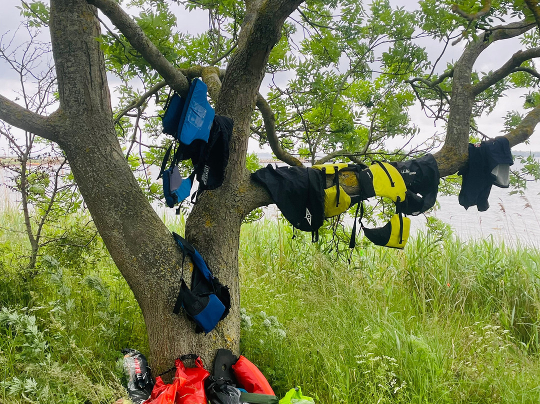 LifePlan Kajak & Friluftsliv-斯文堡必去景点