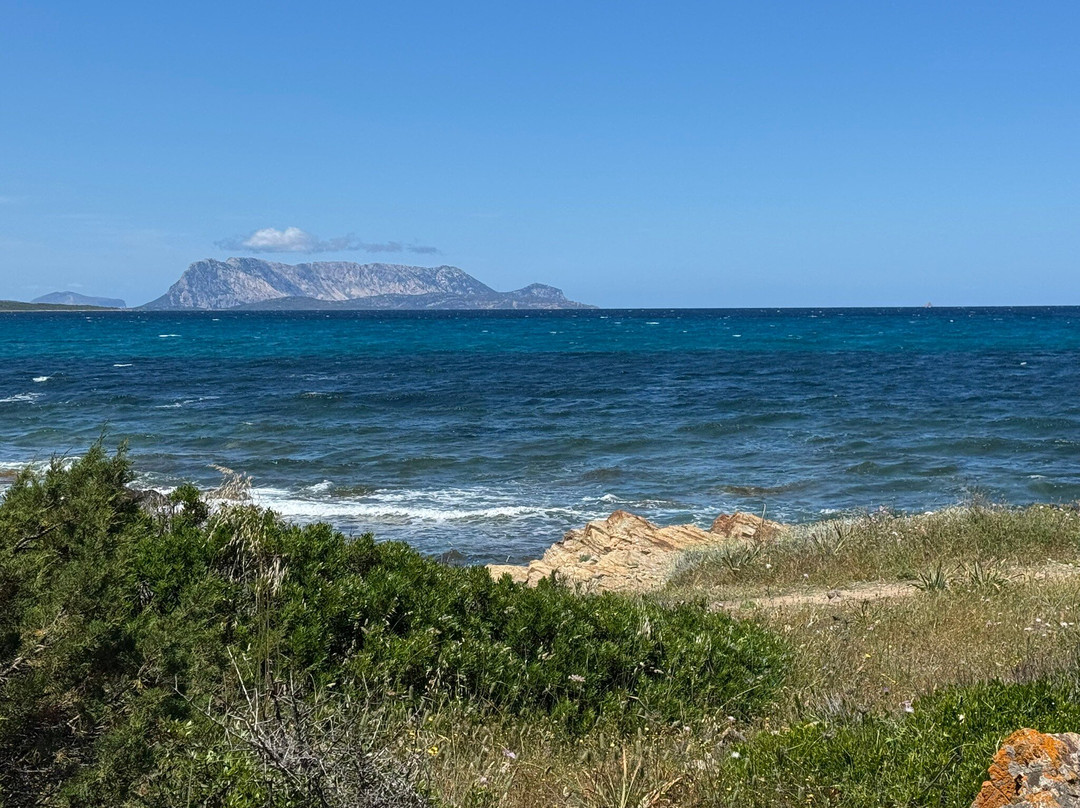Baia Dei Mori Beachclub主图